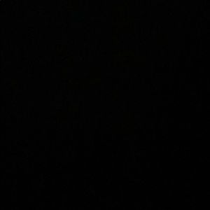 Meet your Posher, Owen